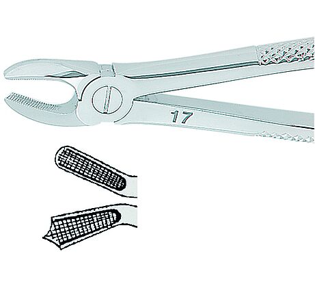 Extracting forceps, English pattern, medium, Fig. 17, non-slip beaks